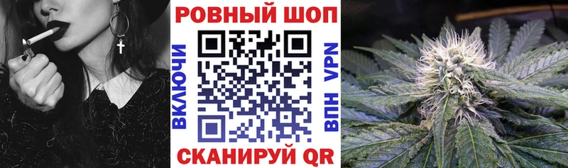 МЕФ Судогда