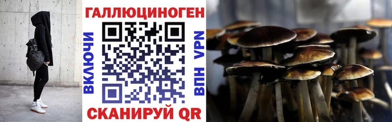 Галлюциногенные грибы Psilocybine cubensis  купить наркоту  Судогда 